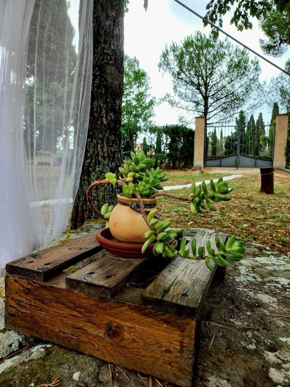 Casa vacanze Casa Shanti *